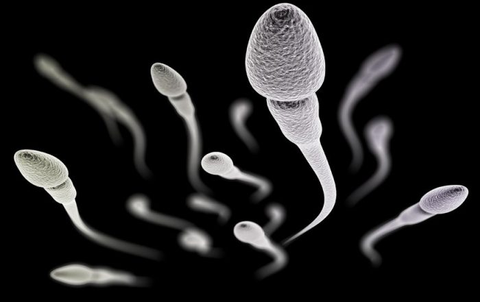 AEI Noticias | Los espermatozoides ¿atraviesan los vaqueros?