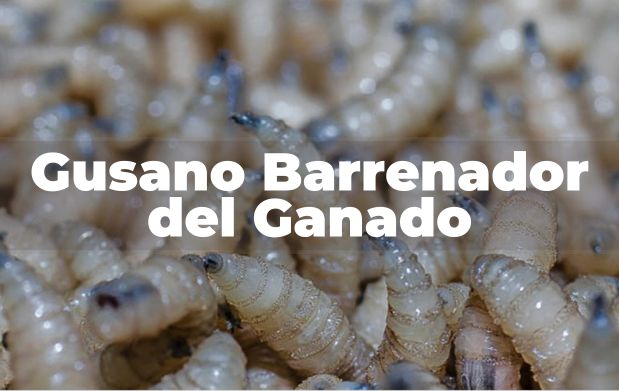 noticia-img